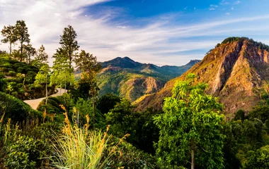 Seychelles Océan Indien