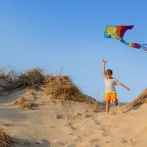 Envolez-vous vers le printemps