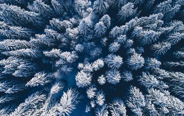 Club Med’s commitment to sustainable tourism is built on solid foundations