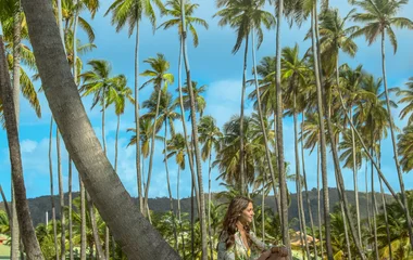 Schutz der Vegetation