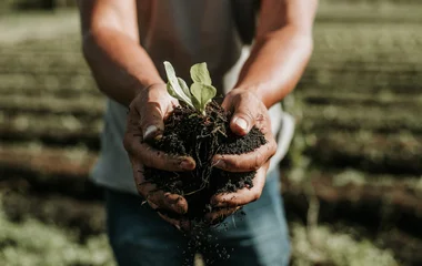 la fondation club med, depuis 1978