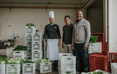 Organic/ Locally sourced Food