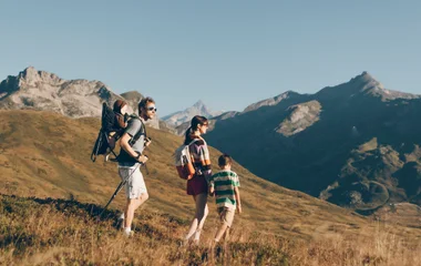 Projets paysagers et traitements