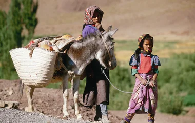 Algunas iniciativas para los niños