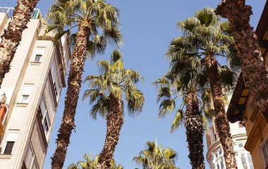 femme balade rue marbella