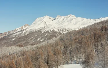 Nouvelles technologies intégrées