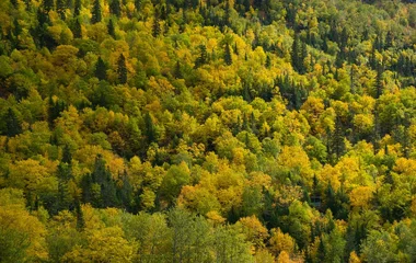 Must see during in Canada