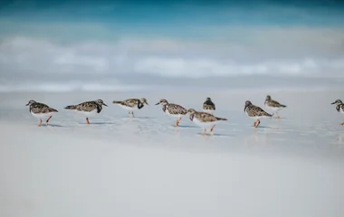 Partnerschaften mit lokalen Umweltverbänden