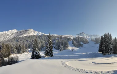 domaine skiable valmorel