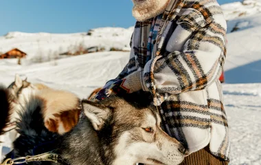 Randonnée, Nordic Walking, chiens de traîneau*
