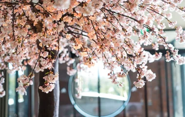 北海道亲子游酒店