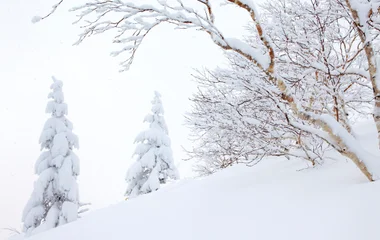 Sahoro resort