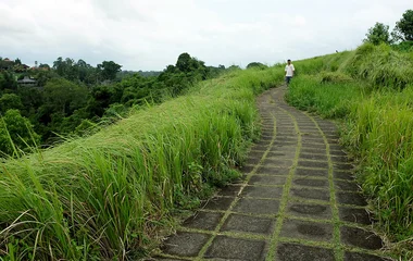 campuhan ridge walk bali