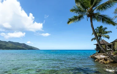 giardino botanico mahé seychelles