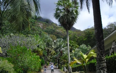 giardino botanico di Mahé seychelles