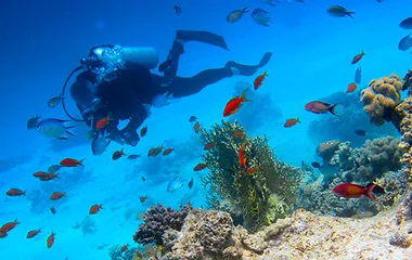 Scuba diving holiday packages