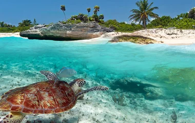 beautiful Seychelles island