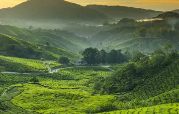 Landscape in Malaysia
