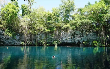 tropical nature