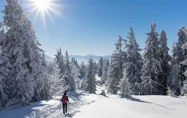 Enjoy alpine skiing in one of the ski top resorts, les Arcs