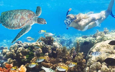 Maldivler şnorkelle yüzmek