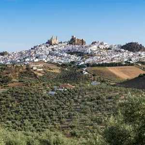 Marbella In the Spotlight