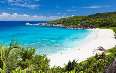 Best beaches in Guadeloupe
