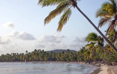 Best beaches in Martinique