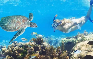 Explore the sea with turtles around Club Med Maldives