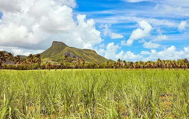mauritius island, holidays in mauritius, mauritius resorts, club med, garden, lion mountain, summer