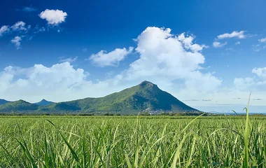 mauritius island resort, mauritius holiday package, holidays to mauritius, club med