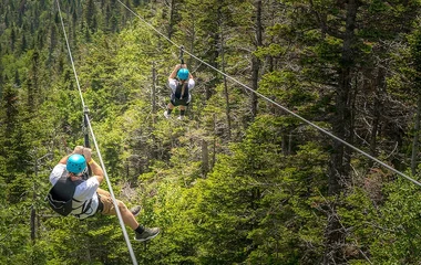 Ziplining über dem Dschungel