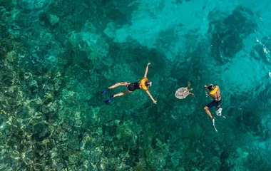 Two people snorkelling with a turtle