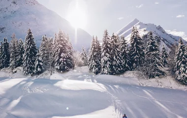 Club Med Les Arcs Panorama's ski domain