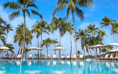 pool in La Caravelle Club Med