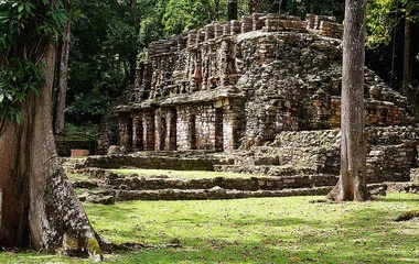 Yaxchilan