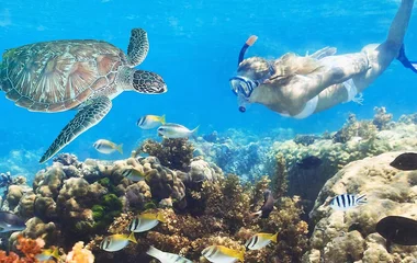 Seychelles beaches