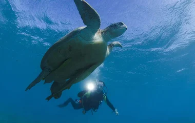 World-class diving and nature parks
