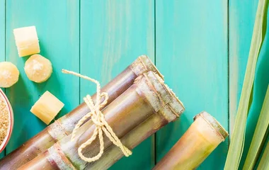 sugar cane, mauritius food, mauritius holidays, club med, holiday in mauritius