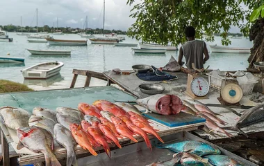 fish, mauritius food, mauritius holidays, club med