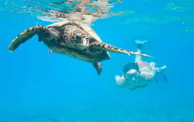 Lady snorkeling with a turtle in the clear Seychelles water