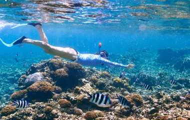 Best Scuba Diving Sites in Seychelles