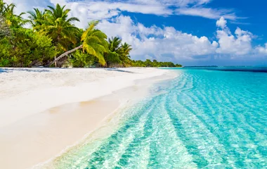 A Guide to Praslin Island