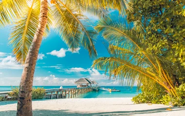 Great snorkelling in the beautiful Sainte Anne Channel