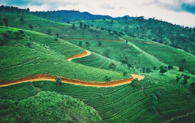 top country for digital nomads