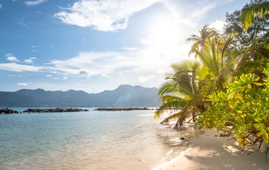 Seychelles sun
