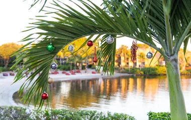Feliz Navidad