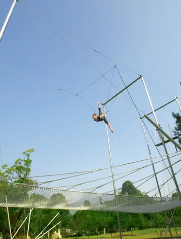 Flying Trapeze & Circus Arts
