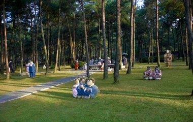 Sculpture park