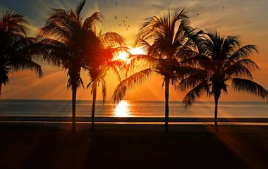 Palmen am Strand bei Sonnenuntergang
